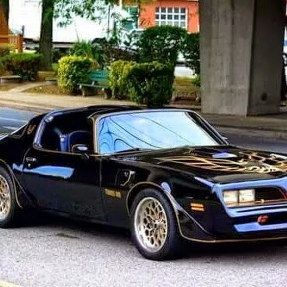 Meet your Posher, Karleyun - Picture 1 of 1